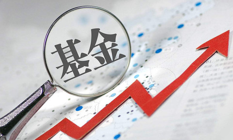 网股票软件五大实用平台评测与选择指南